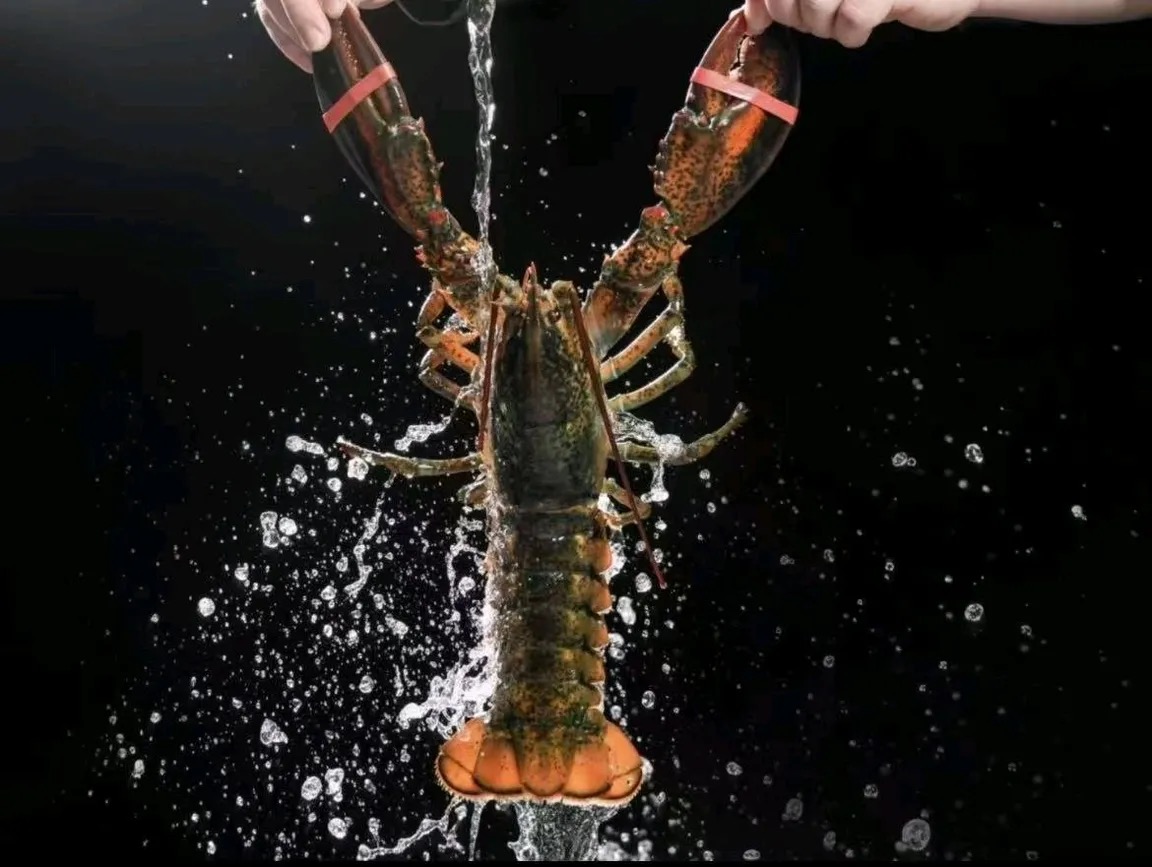 汕尾海鲜